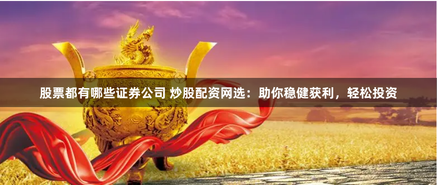 股票都有哪些证券公司 炒股配资网选：助你稳健获利，轻松投资